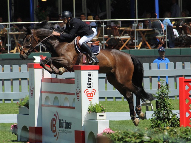 如何提升马 如何提升马