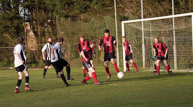 冷静的大局 冷静的大局